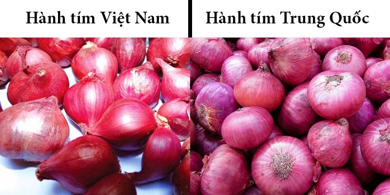 Cách phân biệt hành tím Trung Quốc và hành tím Việt Nam